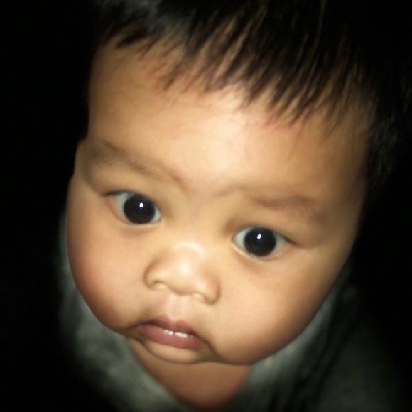 Meet your Posher, Xander - Picture 1 of 1